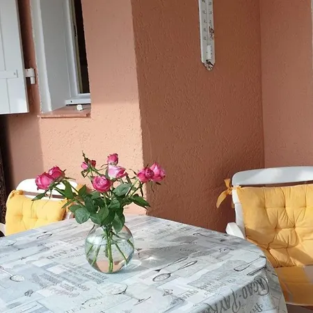 Beau Studio Cabine En Rez De Jardin Dans Avec Piscine Apartamento *